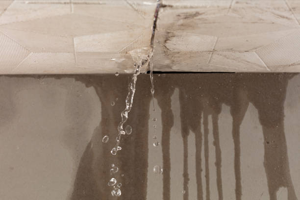 Professional Sewage Cleanup technician working in Cape Coral, FL